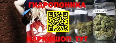ГАЛЛЮЦИНОГЕННЫЕ ГРИБЫ Обнинск