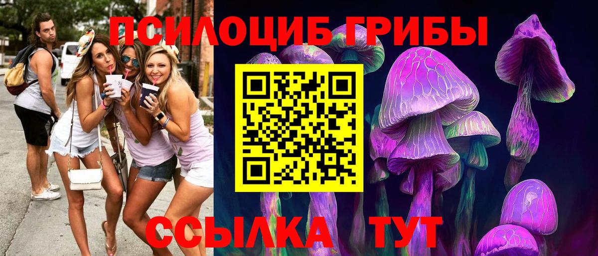 Галлюциногенные грибы MAGIC MUSHROOMS Трёхгорный