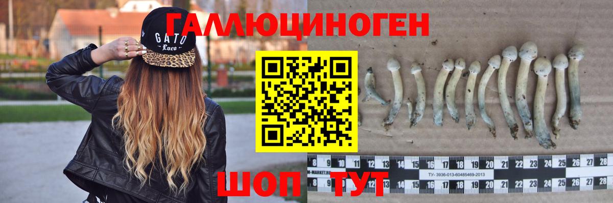 Псилоцибиновые грибы ЛСД  Вход с VPN  Галлюциногенные грибы Psilocybine cubensis  Трёхгорный 