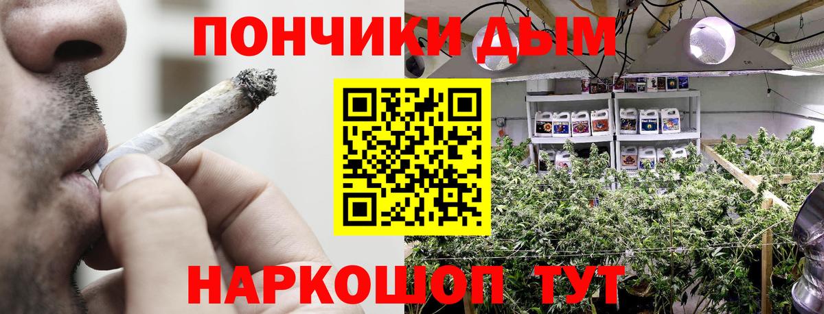 Шишки марихуана планчик Трёхгорный